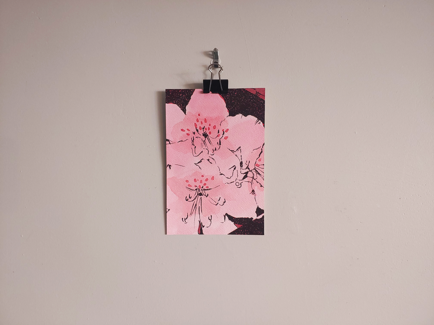 Primorsky Rhododendrons