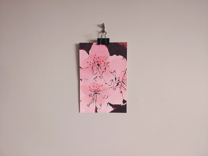 Primorsky Rhododendrons