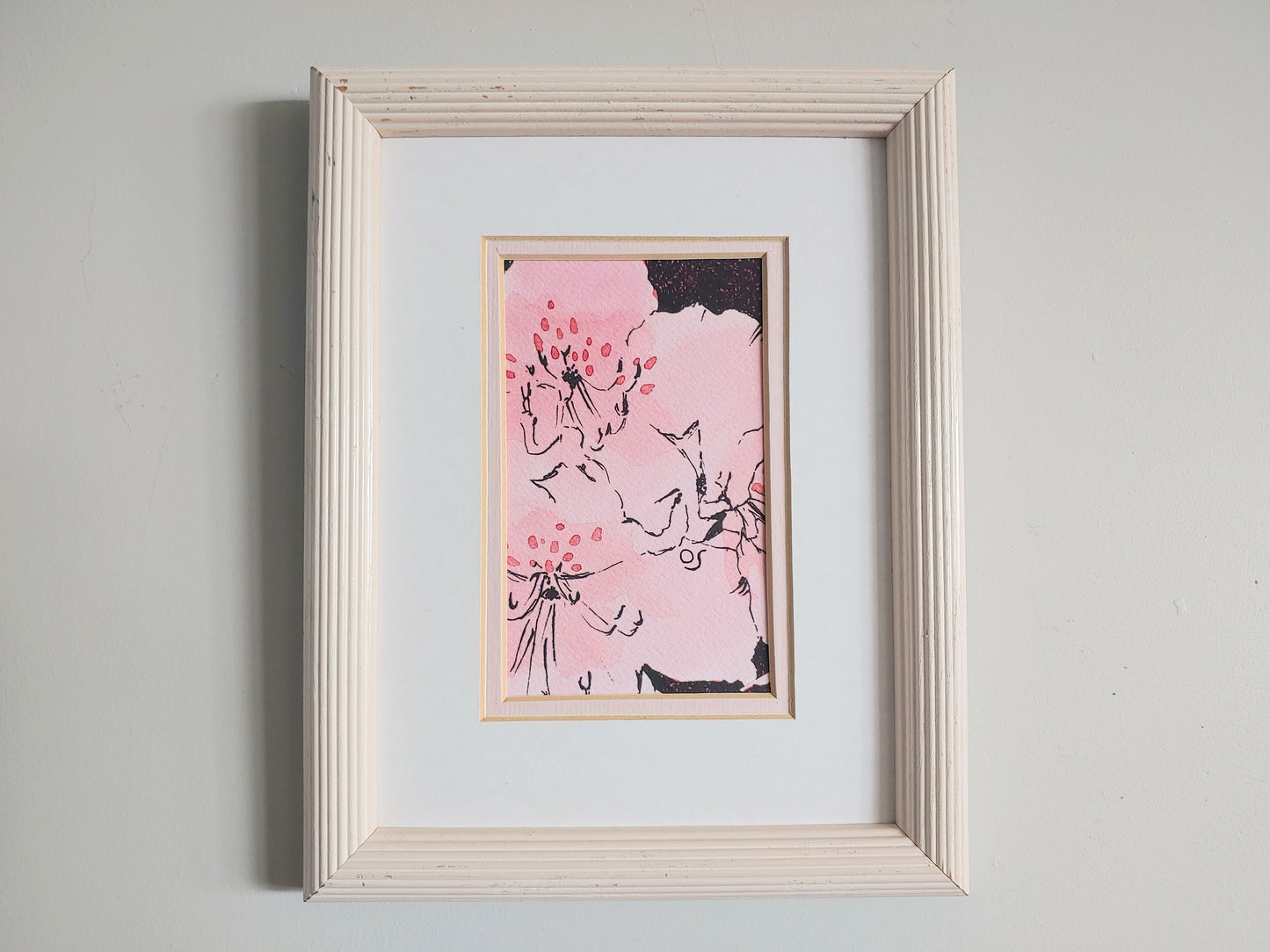 Primorsky Rhododendrons