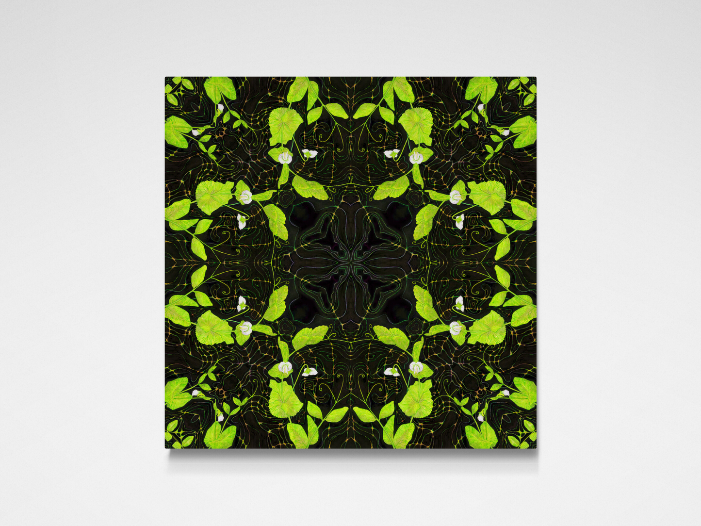 Pea Plant Pattern Limited Edition Print