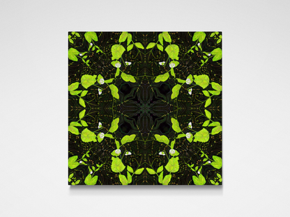 Pea Plant Pattern Limited Edition Print