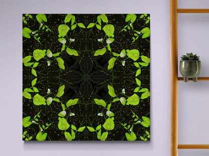 Pea Plant Pattern Limited Edition Print