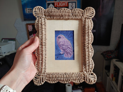 One Eyed Owl Tiny Painting Framed