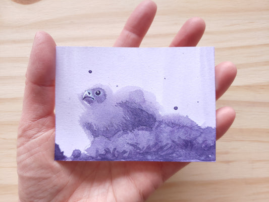 Purple Bird of Prey Chick ACEO
