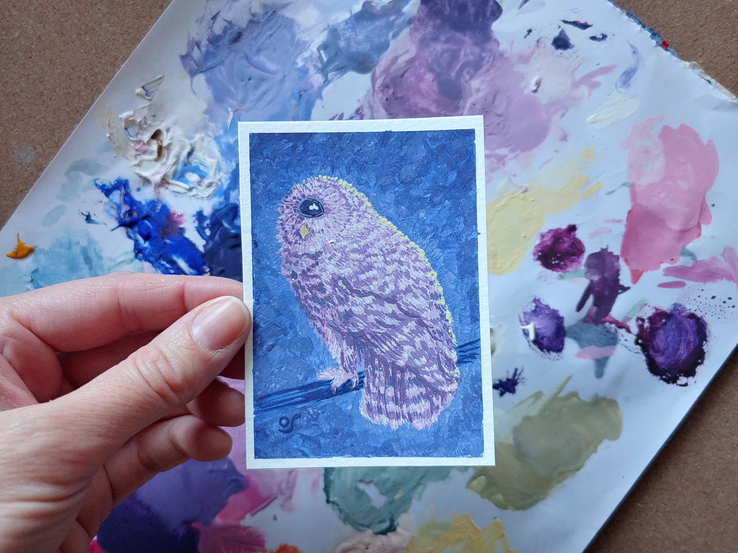 One Eyed Owl Tiny Painting Framed