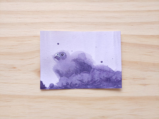 Purple Bird of Prey Chick ACEO