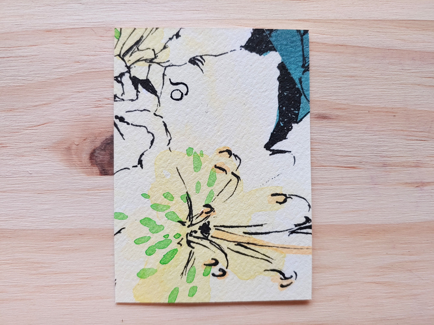 Primorsky Rhododendrons ACEO