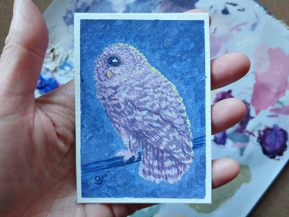 One Eyed Owl Tiny Painting Framed