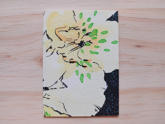 Primorsky Rhododendrons ACEO