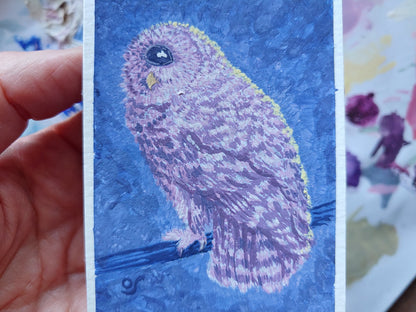 One Eyed Owl Tiny Painting Framed